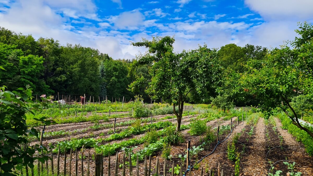 farms