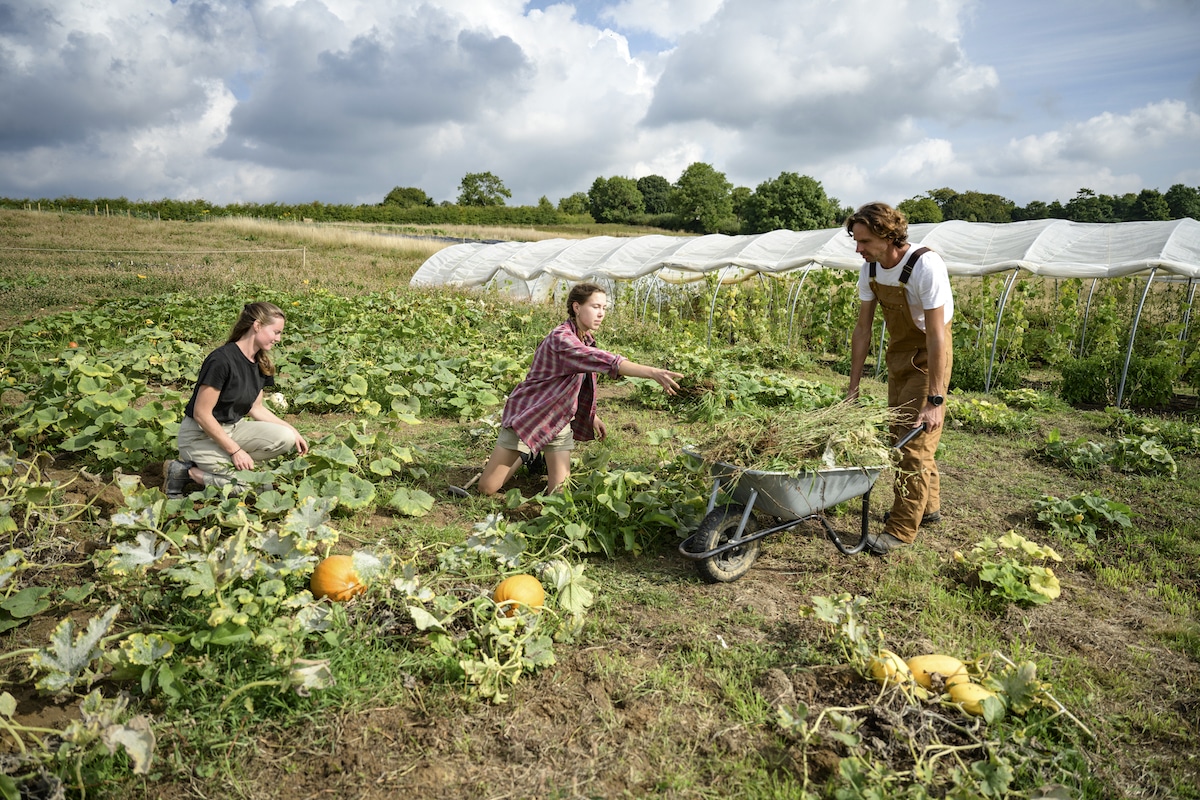 farming