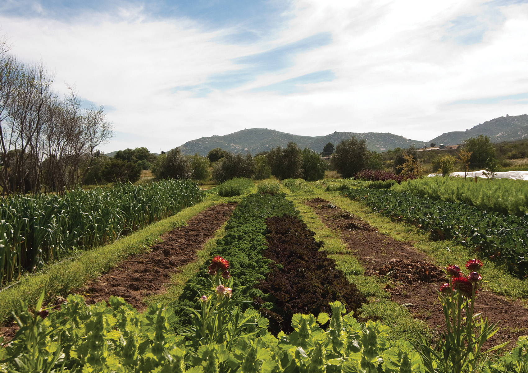 farms